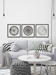 Circle Bloom Triptych