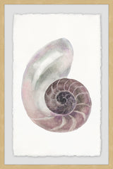 Usual Shell
