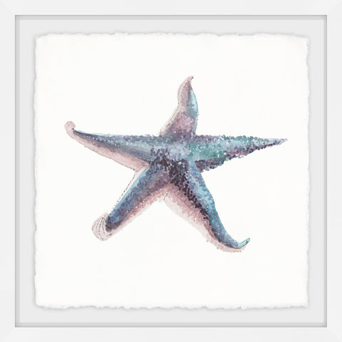 Blue Starfish