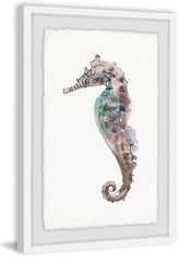 Lone Seahorse