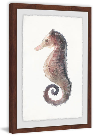 Stiff Seahorse