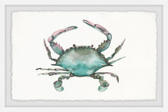Pastel Crab