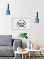 Pastel Crab