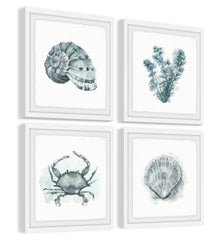 Sea Life Quadriptych