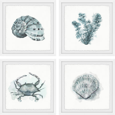 Sea Life Quadriptych