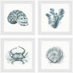 Sea Life Quadriptych