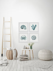 Sea Life Quadriptych