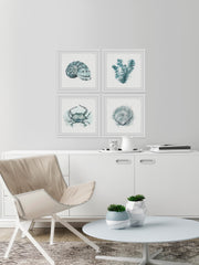 Sea Life Quadriptych