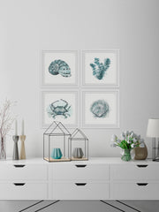 Sea Life Quadriptych