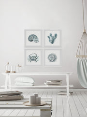 Sea Life Quadriptych