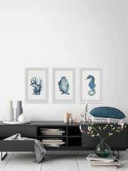 Ocean Gems Triptych