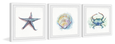 Sea Shore Gems Triptych