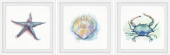 Sea Shore Gems Triptych