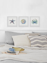 Sea Shore Gems Triptych