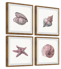 Pink Sea Shells Quadriptych