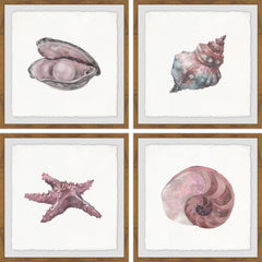 Pink Sea Shells Quadriptych