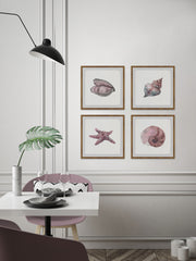 Pink Sea Shells Quadriptych