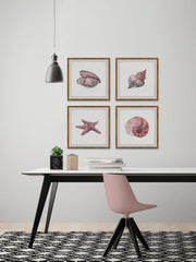 Pink Sea Shells Quadriptych