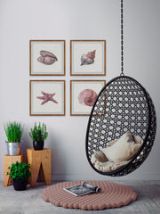 Pink Sea Shells Quadriptych