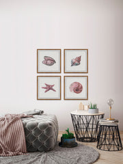 Pink Sea Shells Quadriptych