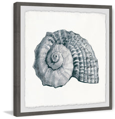 Sturdy Shell