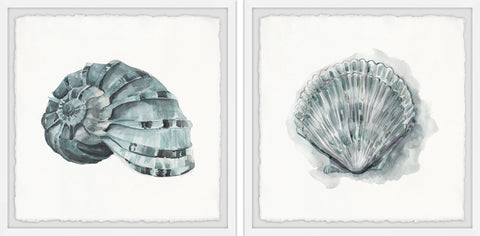 Classy Shell II Diptych