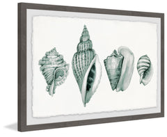 Four Shells