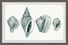 Four Shells