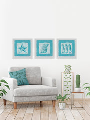 Sea Life Blue III Triptych