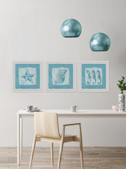 Sea Life Blue III Triptych