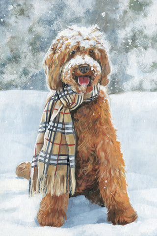 Winter Ready