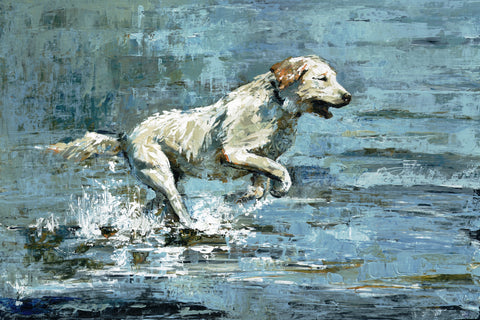 Dog Splashing