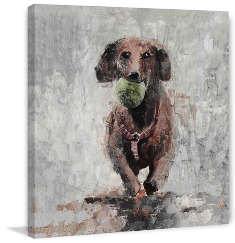 Throw the Ball