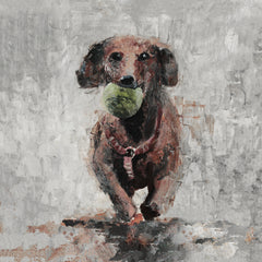Throw the Ball