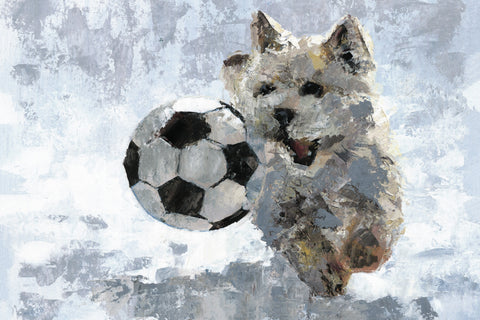 Dog and Soccer Ball