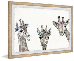 Flower-crowned Giraffes