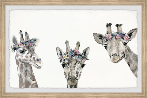 Flower-crowned Giraffes