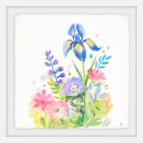 Iris in Bloom