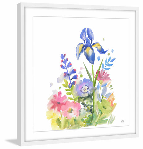 Iris in Bloom