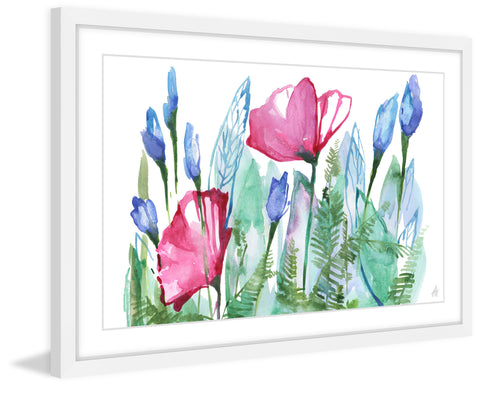 Spring Poppy