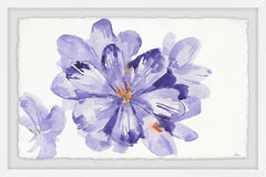 Purple Triumph