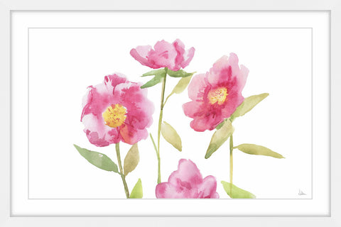 Splendid Pink