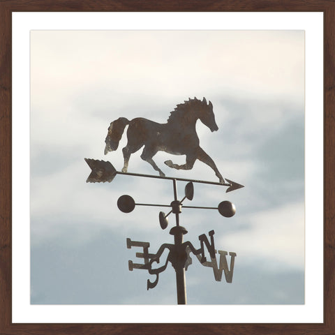 The Weathervane