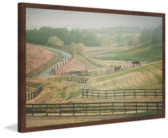 Open Country