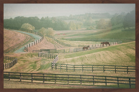 Open Country