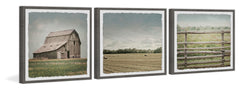 Barn Field Triptych