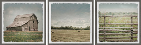 Barn Field Triptych