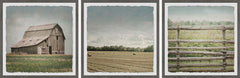 Barn Field Triptych