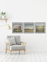 Barn Field Triptych