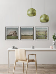 Barn Field Triptych